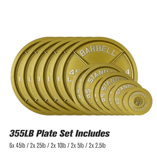 Gold Finish Olympic Steel Plates - Pairs and Sets 2 Inch Barbell Standard in Premium Gold for Weight Lifting - color: 355lb Set