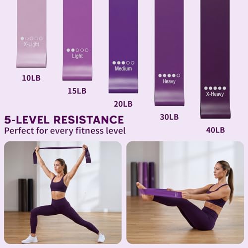 Hoikwo Purple TPE Pilates Kit for Home Workout, Complete Set with Pilates Ring, Resistance Bands, Yoga Ball, TPE Bands, TPR Massage Ball, Sliders, Along with an 8-Shape Band and Non-Slip Socks
