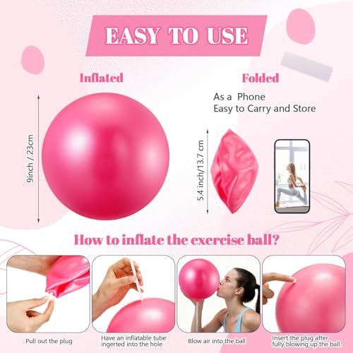 Sotiff 20 Pcs 9 Inch Pilates Ball Bulk Exercise Pilates Ball Mini Yoga Balls Therapy Core for Stability Barre Training Stretching Physical Posture Training Gym Workout with Inflation Tube - color: Pink