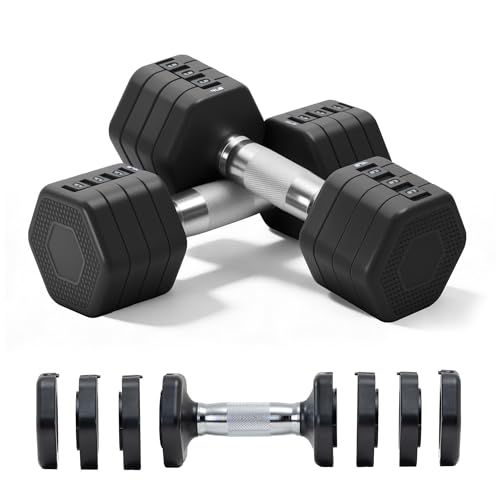 Adjustable Dumbbell Set of 2 Total 20 Lbs 4-in-1 Each 4lb 6lb 8lb 10lb 1s-Adjust Dual-Stable Free Weights for Women Men Home Gym Outdoor Workouts - color: black [20LBS Total]