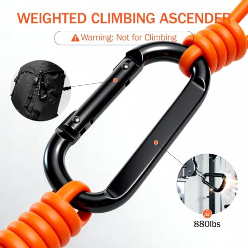 Slim Panda Door Anchor for Resistance Bands,Heavy Duty Resistance Band Door Anchor for Home Workout,Physical Therapy & Fitness, Large Door Anchor Attachment - style: Door Anchor 1Pack