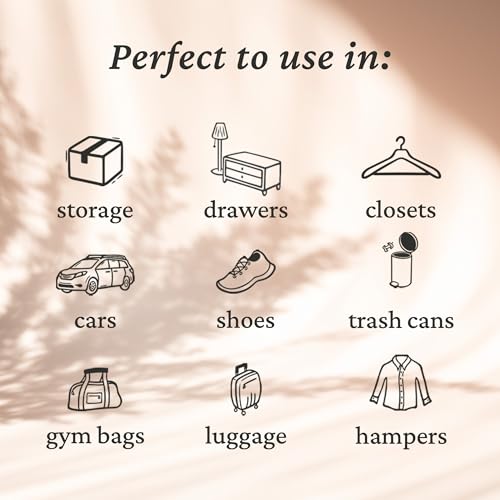 Fresh Wave Lavender Odor Eliminating & Deodorizing Packs | Bag of 6 | Safer Odor Relief for Small Spaces | Natural Plant-Based Odor Eliminator | Odor Absorbers for Home - size: 6 Count (Pack of 1)