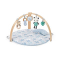 Ingenuity Cozy Spot Reversible Duvet Baby Play Gym & Play Mat with Wooden Toy bar - Elephant March (Neutral Safari), Newborn and up - color: Elephant March