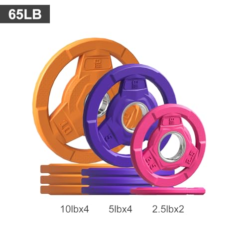 Color Coded 2-Inch Rubber Coated Olympic Grip Plate for Barbell,Solid Cast Iron Weight Plates for Strength Training, Weightlifting, Home Gym, 2.5/5/10/15/25/35/45 LB, Single and Pair - color: 65LB-SET