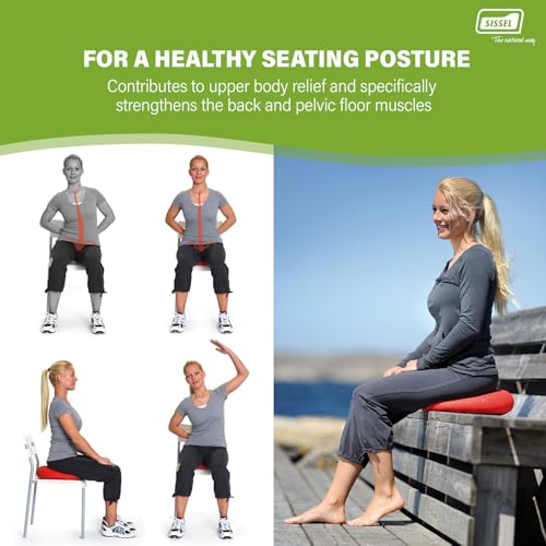 SISSEL SITFIT 14in Red | Active Sitting & Training | Strengthens Back & Pelvic Floor Muscles | Versatile Use: Legs & Veins | Adjustable Pressure | Includes Exercise Poster - color: Red