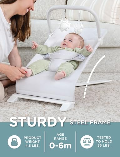 Baby Delight Alpine Deluxe Portable Bouncer | Infant | 0 – 6 Months | Driftwood Grey - color: Driftwood Grey