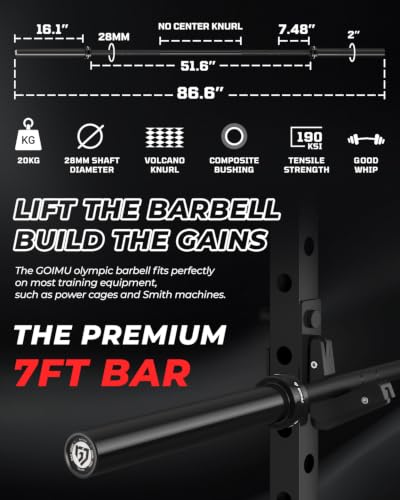 RH01 Power Cage Rack, 2000LBS Squat Rack with with Cable Crossover System&LAT Pull Down System, Multi-Function Workout Cage for Home&Garage Gym - color: Black, size: RH01 Power Cage with 220LB C Weights