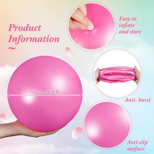 Aoriher 10 Pack 9 Inch Small Pilates Ball Bulk Mini Exercise Ball Portable Non-Slip Workout Yoga Balls with Air Pump for Stability, Barre, Fitness, Balance, Physical &Core, Gym Home Office Use - color: Multicolor