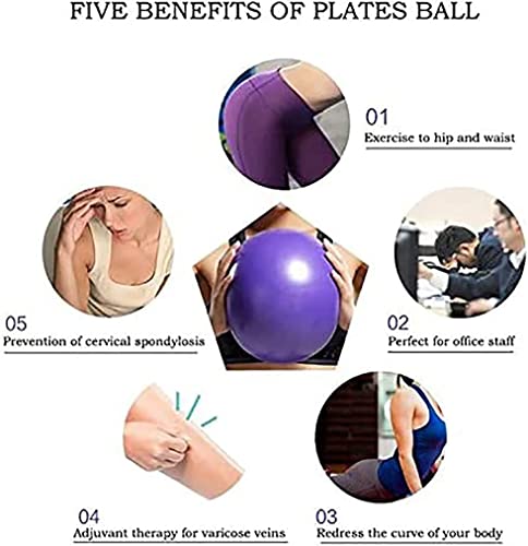 6 Inch Exercise Pilates Mini Yoga Balls Barre for Home Stability Squishy Training Physical Therapy Improves Balance Core Strength Comes with Pump(Grey,6 Inch)