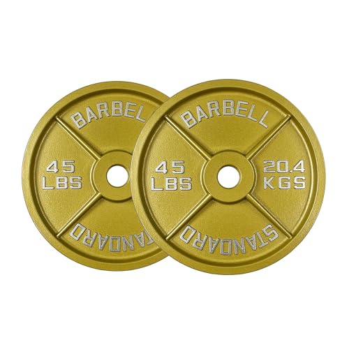 Gold Finish Olympic Steel Plates - Pairs and Sets 2 Inch Barbell Standard in Premium Gold for Weight Lifting - color: 10lb Pair