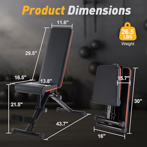 NEWBULIG Adjustable Weight Bench for Home Gym, Foldable Incline Decline Flat Workout Bench for Full Body Exercise, Sit Up Training Equipment, 795 lbs Capacity