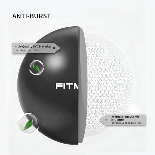 FITMIND_Pilates Ball 10 Inch Anti-Burst Slip Resistant Mini Yoga Ball for Fitness, Core Training, Physical Therapy, Balance, Stability, Stretching 200kg 440lbs Capacity - color: Black