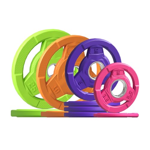 Color Coded 2-Inch Rubber Coated Olympic Grip Plate for Barbell,Solid Cast Iron Weight Plates for Strength Training, Weightlifting, Home Gym, 2.5/5/10/15/25/35/45 LB, Single and Pair - color: 95LB-SET