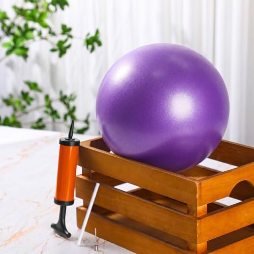 2 Pcs Connection Ball with Pump 9 Inch Pilates Baseball Softball Batting Trainer Improve Arm Action Hitting & Pitching Efficiency Connection Ball for Baseball - color: Purple
