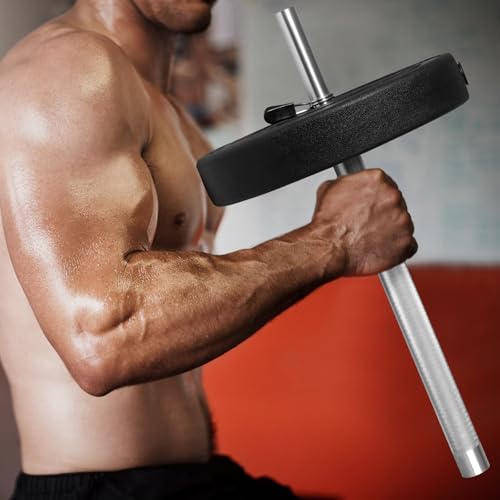 DASKING 4ft/4.9ft Barbell, 2-Inch Olympic Detachable Bar, Portable Strength Training Bar for Weightlifting, Squat, Bench Press, Home Gym, 450LBS, Includes Silent Collars - size: 4.9 Ft