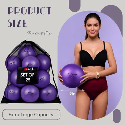 Set of 25 Pilates Balls Bulk 9 Inch Small Exercise Ball for Yoga, Stability, Physical Therapy, Balance, Barre, ABS Core, Gym, Training, with Mesh Bag and Pump - color: Purple