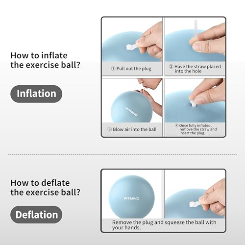 FITMIND_Pilates Ball 10 Inch Anti-Burst Slip Resistant Mini Yoga Ball for Fitness, Core Training, Physical Therapy, Balance, Stability, Stretching 200kg 440lbs Capacity - color: Blue