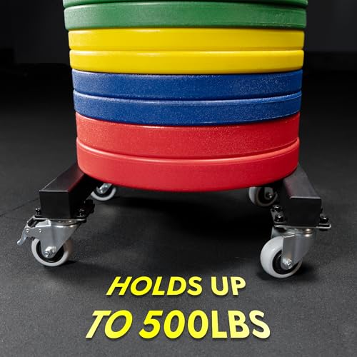 Valor Fitness Bumper Plate Storage Rack, Olympic Weight Plate Tree with Locking Wheels, 500 lb Capacity, 2 Inch Plate Holder for Home Gym, Garage Gym, and Commercial Fitness Use