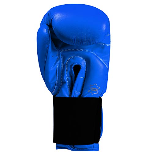 Title Classic Leather Elastic Training Gloves 2.0 - color: Blue, size: 16 oz