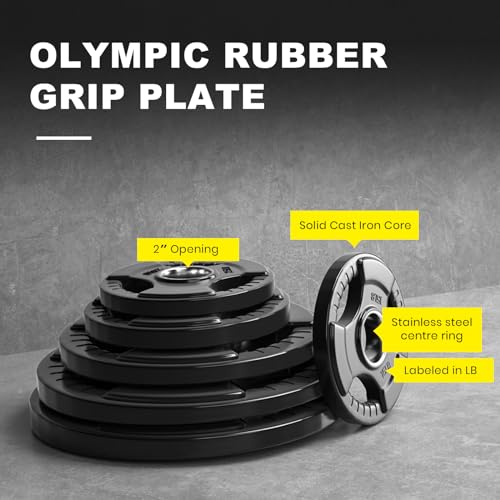 LIONSCOOL 2-Inch Rubber Olympic Grip Weight Plates for Strength Training, Weightlifting, Solid Cast Iron Plate for Barbell in Single/Pair/Set for Home & Gym (2.5-45LB), One Year Warranty - style: 85LB SET