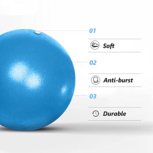 Fsadwnn Exercise Ball Small,Pilates Ball 9 Inch Core Ball,Small Exercise Ball with Pump,Barre,Mini Bender, Pilates, Yoga, Workout, Bender, Core Training and Physical Therapy