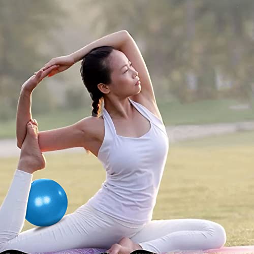 Fsadwnn Exercise Ball Small,Pilates Ball 9 Inch Core Ball,Small Exercise Ball with Pump,Barre,Mini Bender, Pilates, Yoga, Workout, Bender, Core Training and Physical Therapy