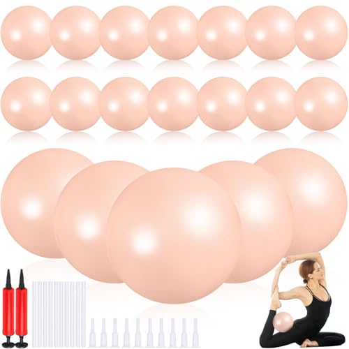 Aoriher 10 Pack 9 Inch Small Pilates Ball Bulk Mini Exercise Ball Portable Non-Slip Workout Yoga Balls with Air Pump for Stability, Barre, Fitness, Balance, Physical &Core, Gym Home Office Use - color: Champagne