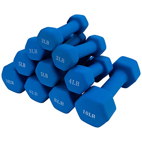 Saorzon Dumbbells Set of 2 Exercise Fitness Dumbbell for Home Gym Free Weights Hand Hex Dumb Bells - color: Royal Blue, style: 5 Pounds,Pair