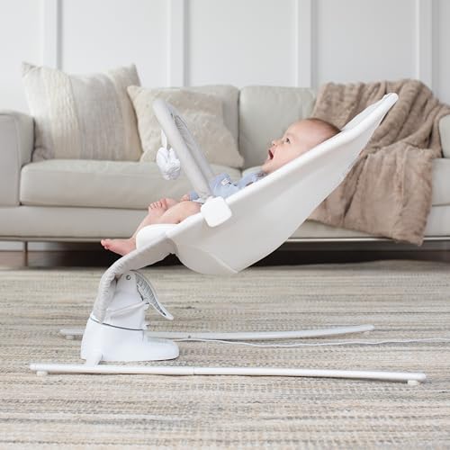 Baby Delight Alpine Wave Deluxe Infant Swing | Automated Motion Baby Lounger Seat | Infants 0 – 6 Months | Driftwood Grey - color: Driftwood Grey, Automatic