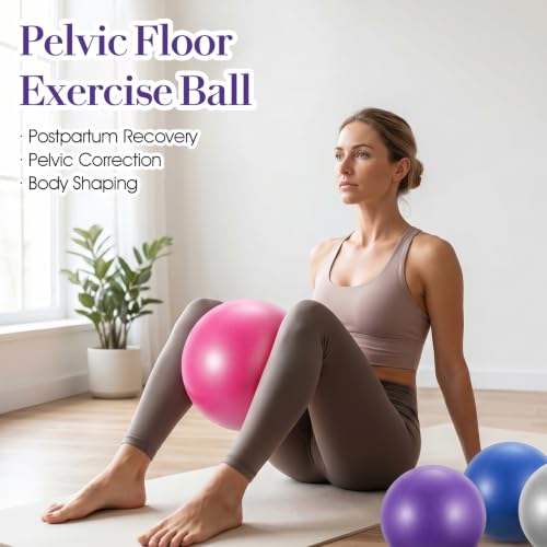 12Pcs Small Exercise Balls, 9.84 Inch Mini Yoga Ball for Pilates, Yoga Therapy Core Ball, Stability & Balance Training, Anti-Burst Fitness Balls for Home Gym, Physical Therapy, Core Strength