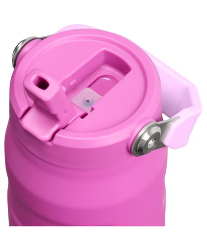 Stanley IceFlow Flip Straw 2.0 Water Bottle 24 OZ | Built-In Straw with Larger Opening | Lightweight & Leak-Resistant | Insulated Stainless Steel | BPA-Free | Dark Blossom - color: Dark Blossom, size: 24 Ounces