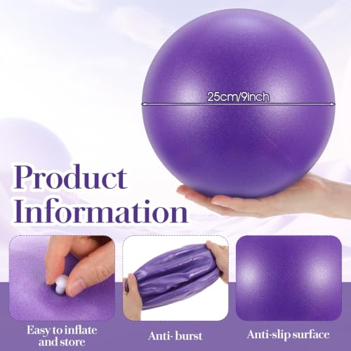 12Pcs Small Exercise Balls, 9.84 Inch Mini Yoga Ball for Pilates, Yoga Therapy Core Ball, Stability & Balance Training, Anti-Burst Fitness Balls for Home Gym, Physical Therapy, Core Strength