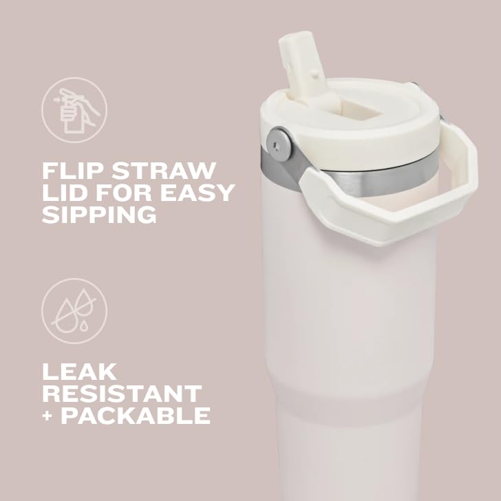 Stanley IceFlow Flip Straw Tumbler with Handle 20 oz | Twist On Lid and Flip Up Straw | Leak Resistant Water Bottle | Insulated Stainless Steel |BPA-Free | Ash - color: Ash, size: 20 Ounces