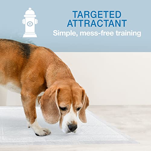 Four Paws Wee-Wee Super Absorbent Unscented Pee Pads for Dogs & Puppies with Insta-Rise Border, Leak-Proof Dog Housebreaking Potty Training Floor Protection, 22" x 23", 100 Count - size: 100 Count