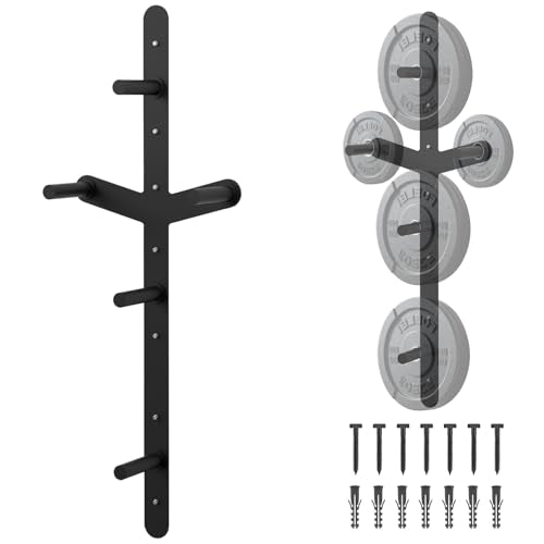 Wall Mounted Weight Plate Rack, 6 Pegs & 4 Barbell Storage Rack, 1190 LBS Capacity Weight Plate Holder, Wall Mounted Bumper Plate Storage for Home Garage Gym, Fit 2" Olympic, Rubber Protection Pads - size: Weight Plate Storage Rack