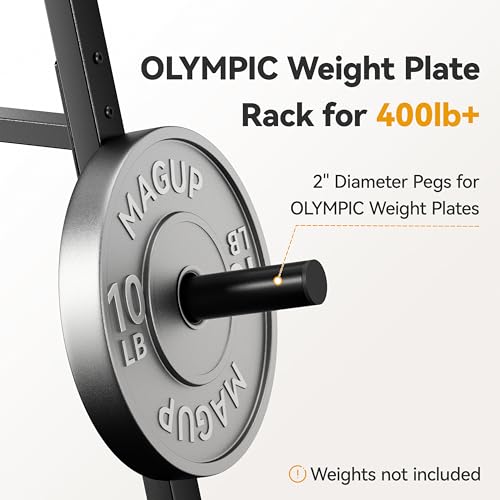 Weight Plate Rack 400LBs, Weight Tree Holder for Home Gym, Barbell & Bumper - size: for Olympic Weight Plate