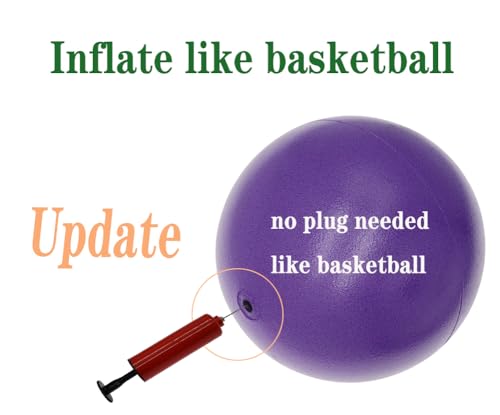 CIZEBO 6" Pilates Ball, Small Exercise Ball & Air Pump Yoga Core (8" Opt) - color: Purple, size: 6 inch