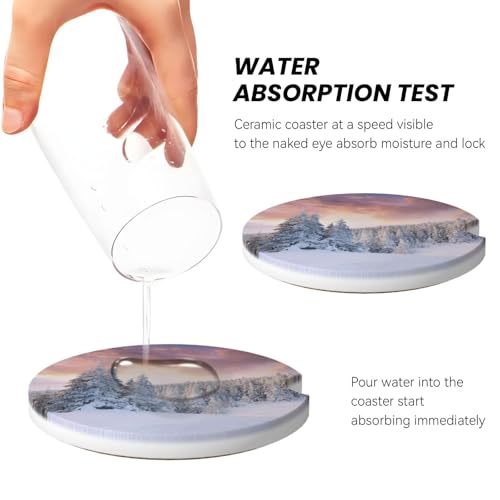 Winter Landscape Snow Car Coasters for Cup Holders, 2 Pack Absorbent Ceramic Drink Cup Coaster for Women Men, Auto Interior Accessories - color: T14