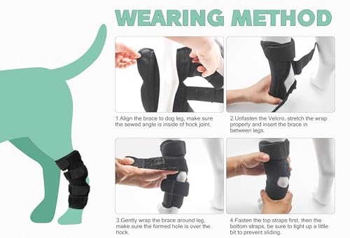 Dog Leg Brace for Hind Hock Joint, Rear Ankle Compression Wrap with Metal Strips Strong Support for Torn ACL & CCL, Prevents from Injury and Sprain, Helps with Wounds Care and Arthritis (S) - size: S (Left+Right)