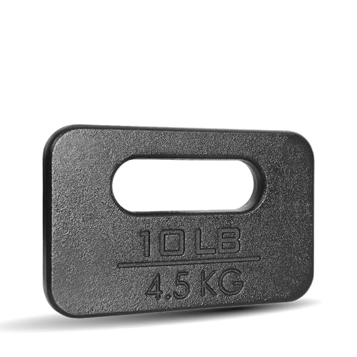 Yes4All Cast Iron Rucking Weight for Backpack, Training Weight Plate with Ergonomic Rounded Handle, Protective Glossy Finish for Weighted Walking, Hiking, Rucking, Resistance Workout - style: A. 10LB