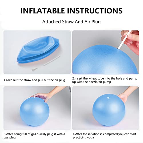 Fsadwnn Exercise Ball Small,Pilates Ball 9 Inch Core Ball,Small Exercise Ball with Pump,Barre,Mini Bender, Pilates, Yoga, Workout, Bender, Core Training and Physical Therapy