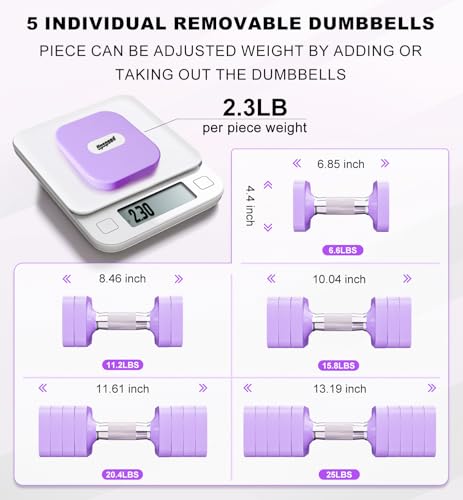 Adjustable Dumbbell Set for Women Men 7.5LB/10LB/15LB/20LB/25LB Pair | Stable Free Weight Hand Weights with Metal Handle for Home Gym Fitness Rehab Pilates Yoga Strength Training Equipments - color: Purple, size: 25LB SINGLE