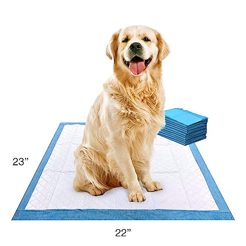 Four Paws Wee-Wee Superior Performance Dog Pee Pads, 10 Count | Quilted leak-proof puppy pads, dog housebreaking & potty training, 24-hour floor protection, pet supplies, 22" x 23" - size: 10 Count