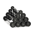 Titan Fitness Rubber Curl Fixed Barbells, Pre-Loaded Weight Bar for Strength Training & Weightlifting - color: EZ Curl Fixed Barbell, size: 20-110 LB Set