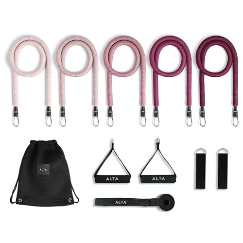 ALTA Resistance Tube Bands for Women - Full Kit Resistance Bands for Working Out with Handles, Ankle Straps, Door Anchor – Home Workout Bands for Physical Therapy, Pilates Long Exercise Bands Set - color: Burst, size: 5 Band Set