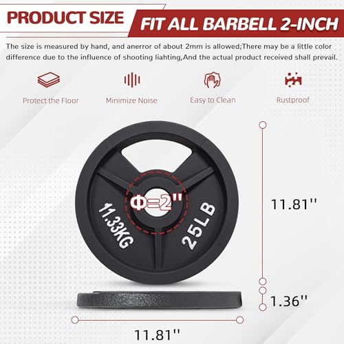 Fitvids 2-Inch Olympic and 1-Inch Standard Cast Iron Weight Plate for Strength Training & Weightlifting, Multiple Weights Available - color: Olympic (2-Inch Center), style: 25LB Pair