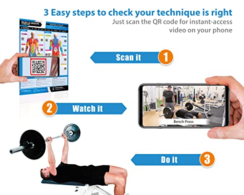 Set of 7 Gym Workout Posters - Laminated Muscle Group Exercise Charts with Free Video Guides, Dumbbell, Kettlebell and Barbell Exercise for Full Body Training and Home Gym Fitness Room Décor