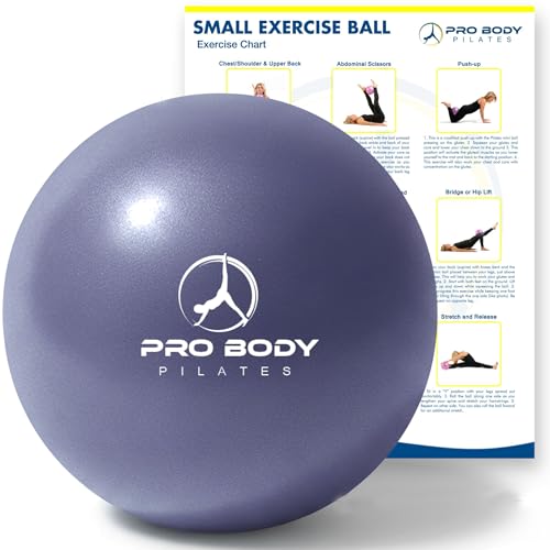ProBody Pilates Ball 9 Inch - Small Exercise Ball for Stability, Barre, Core, Ab Workouts, Yoga, & Physical Therapy - color: Indigo