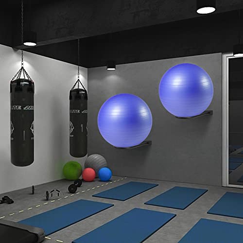 Medicine Ball Rack - Wall Mount Stability Ball Storage Rack(1 Black) - color: 1 Black