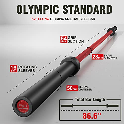 Curl Bar Olympic Barbell EZ Bar 330LB/700LB/1000LB/1500LB for Biceps Curl, Squat, Weightlifting - style: 1000LB-Red